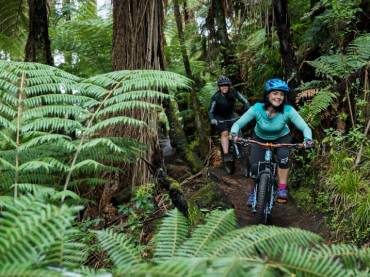 The Redwoods Mountain Biking